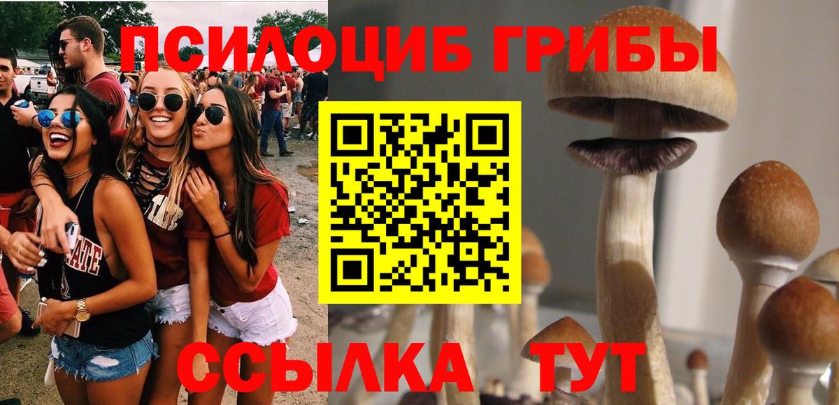 Галлюциногенные грибы Cubensis  Вход с VPN  Артём 